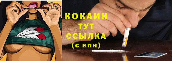 спиды Алексин