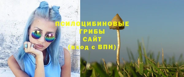 хмурый Армянск