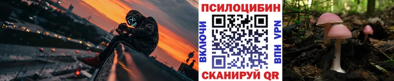 Галлюциногенные грибы прущие грибы  Чернушка 